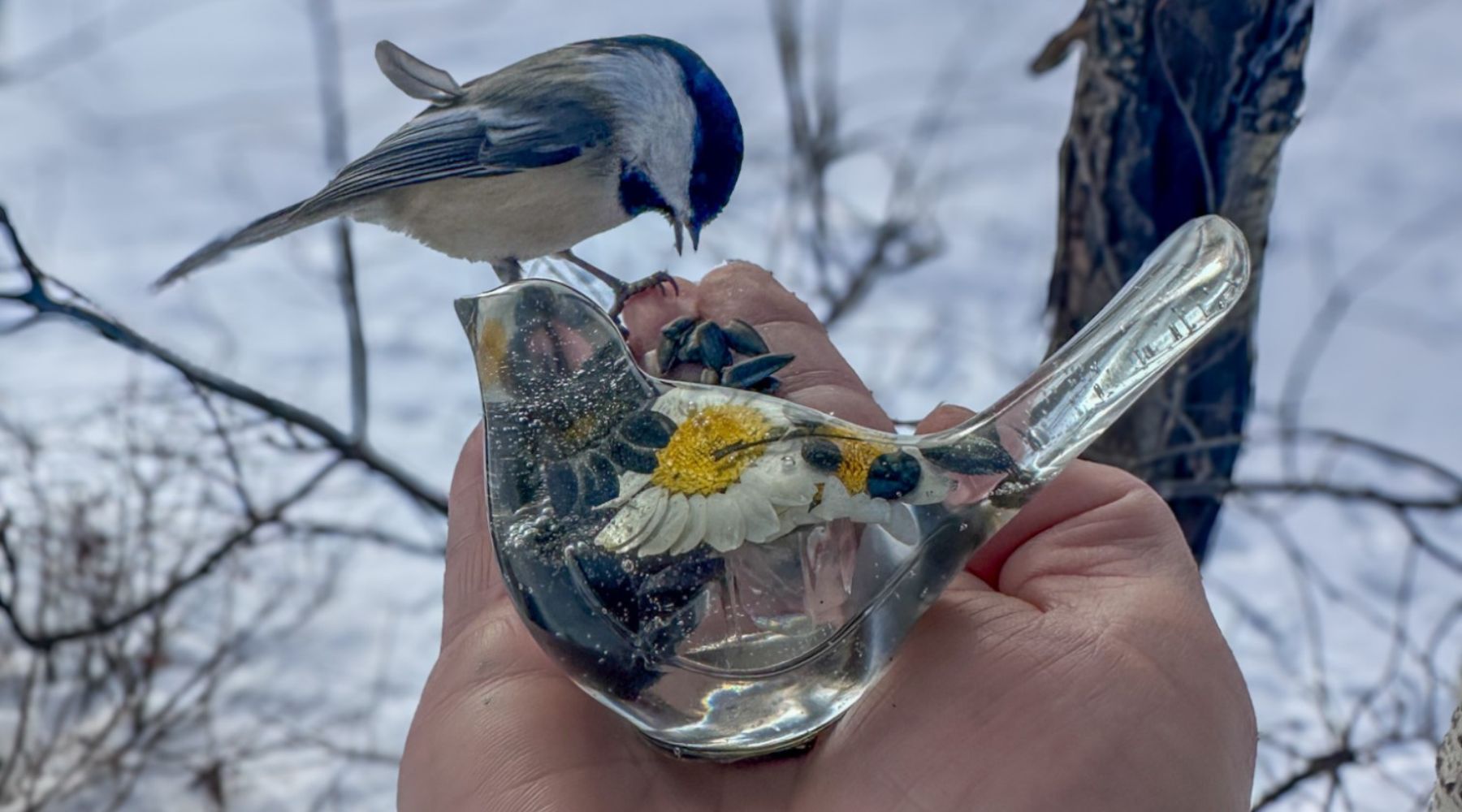 Back to Nature Apparel Joins Forces with Canadian Makers