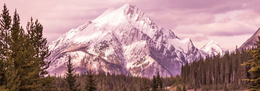 A pink mountain sunset in the Canadian Rockies.