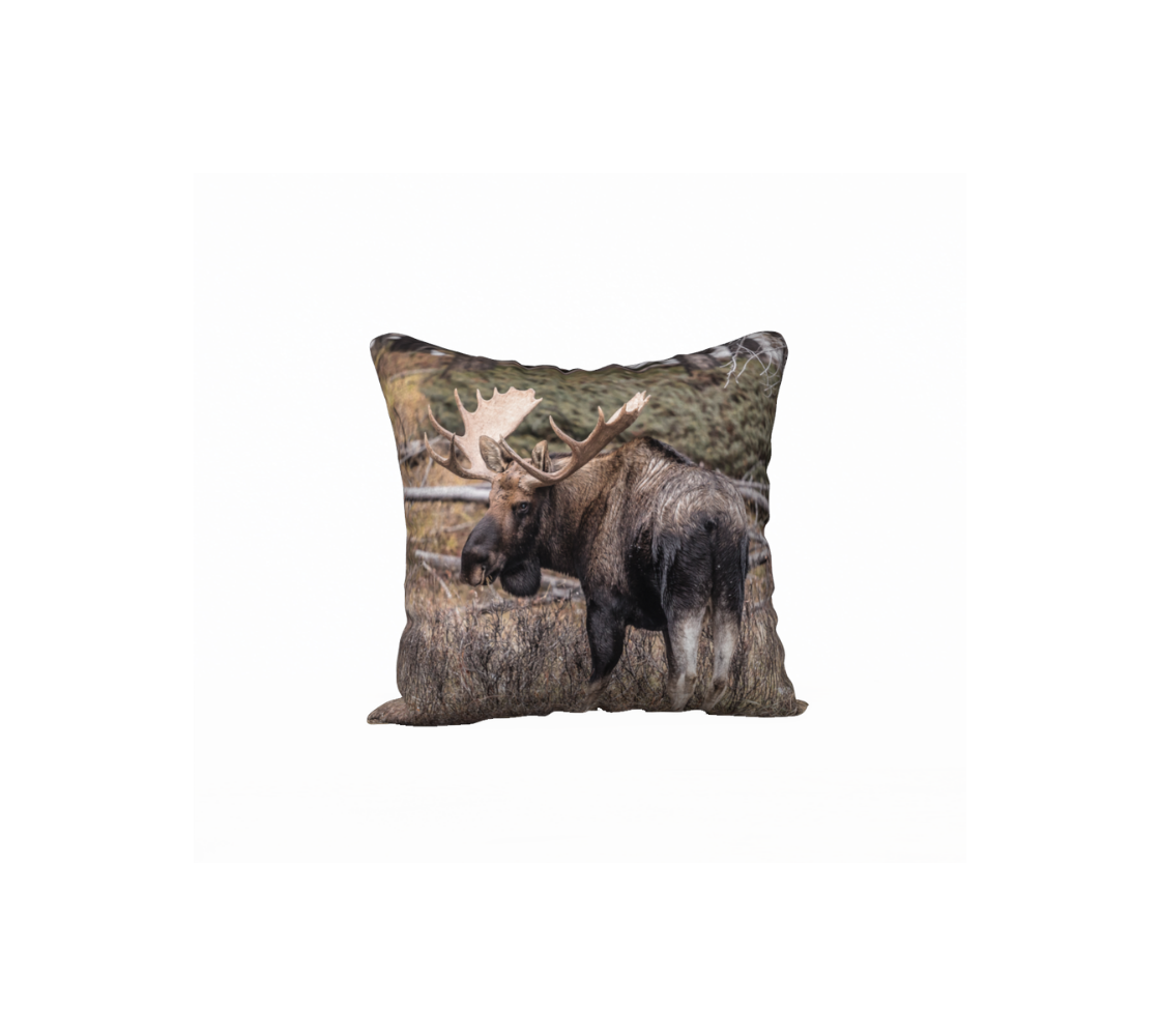 A 18 x 18 inch plush velveteen cushion cover features a bull moose in autumn. The cushion cover background is golden and green.