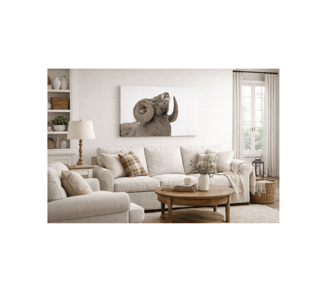 A cozy living room with a canvas print of a bighorn ram from our wildlife photography hanging on the white wall.