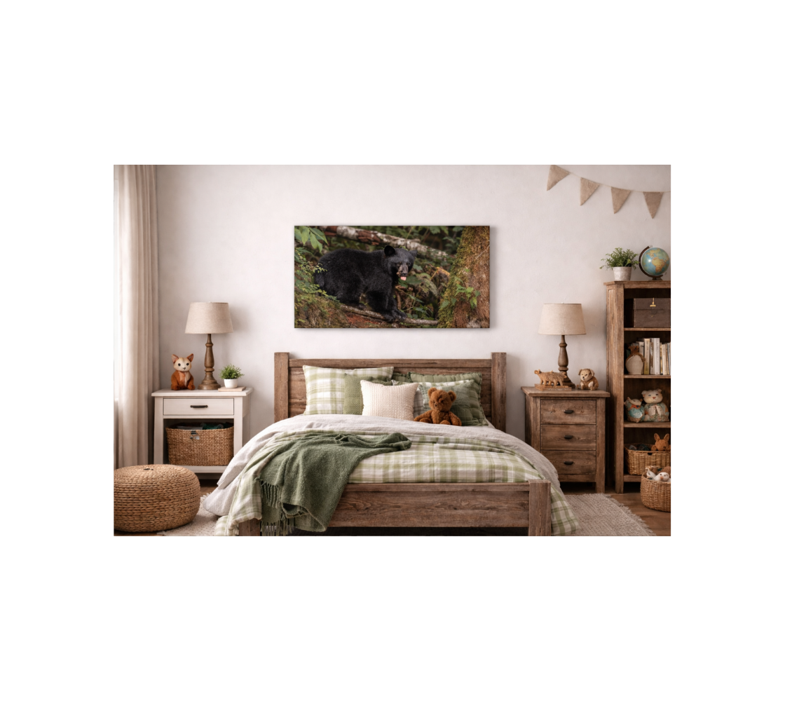 Childs Bed Room with a Canvas Print of a Black bear cub hanging above the bed..