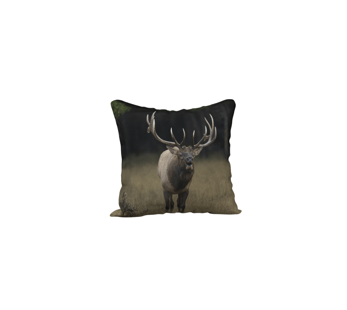 A bull elk throw pillow cover from our real wildlife photography.