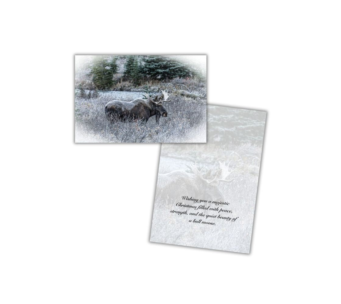 A Christmas card of a frost covered bull moose and an opened card with a repeated faint image of the front image with text.