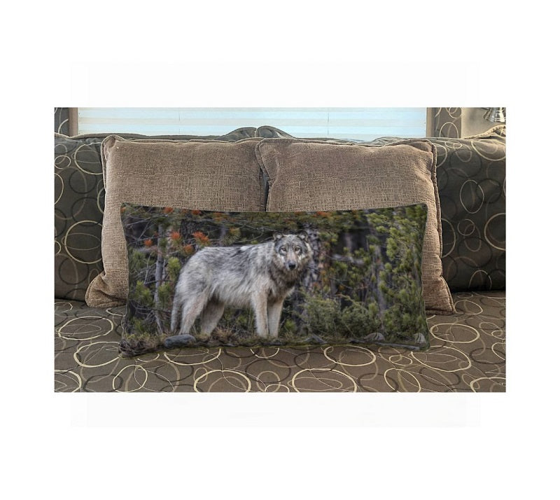 This 12 x 24 inch plush velveteen cushion cover is a photo of a beautiful grey wolf. The background is of evergreen trees and grey bushes, while the wolf has a full and fluffy coat in various tones of grey and white and black with beautiful yellow eyes looking directly at you. The cushion cover background is grey and green pine trees. This image is of a cushion cover on a pillow form on a bed.