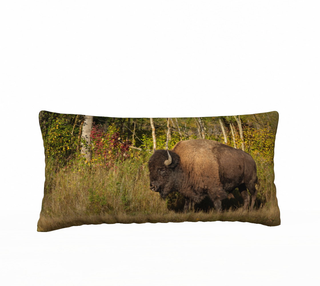 "Pathfinder" 12" x 24" Long Cushion Cover Plains Bison