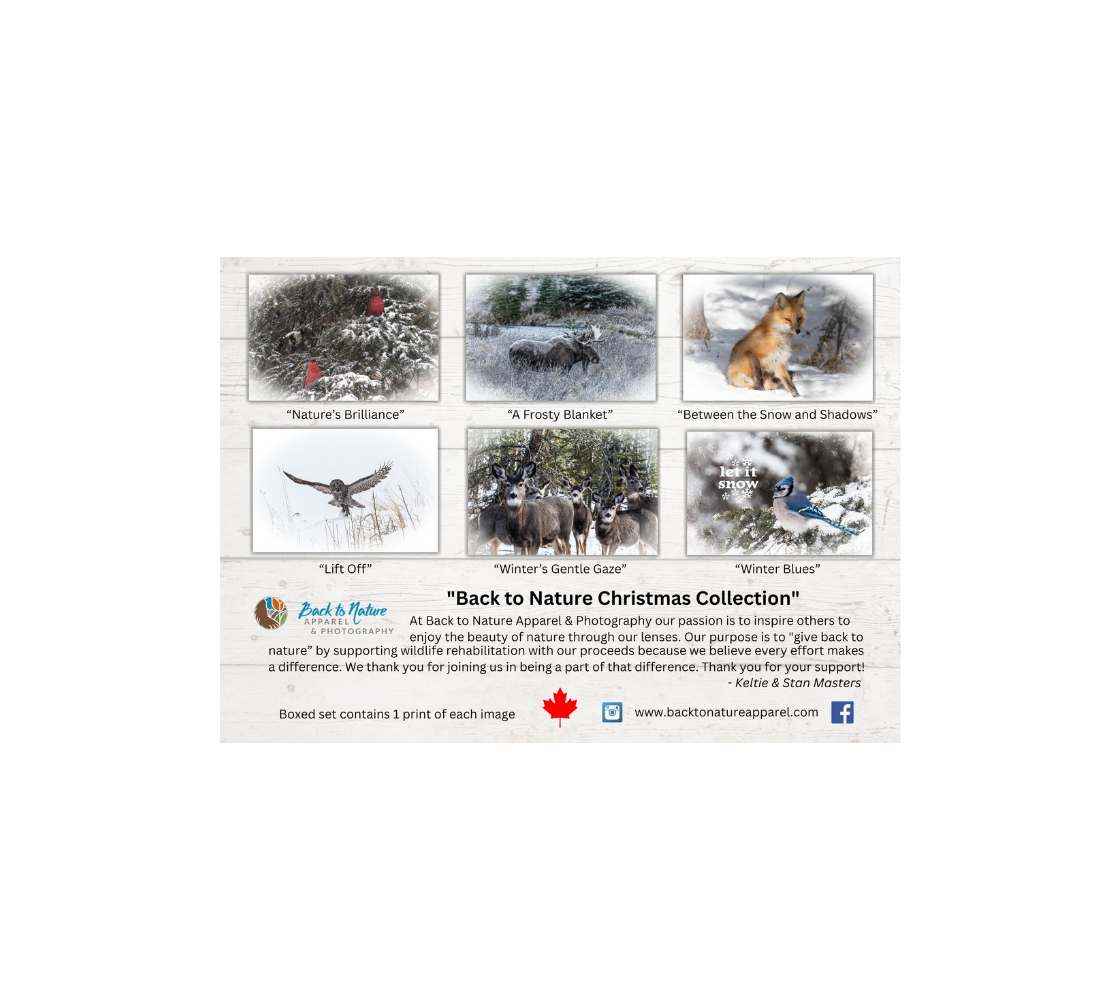 Multiple wildlife greeting card index from our real wildlife photography.