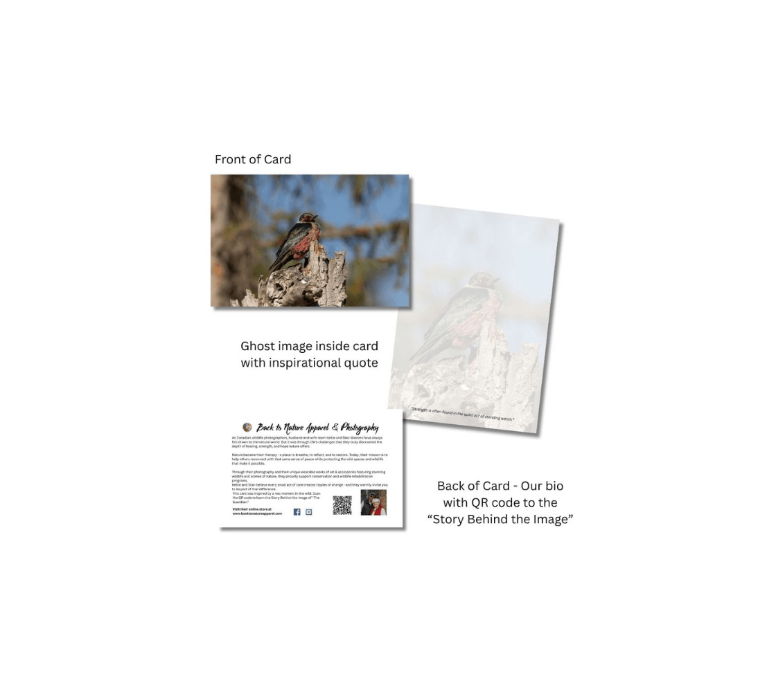 A Lewis's woodpecker greeting card with a ghost image of a Lewis's woodpecker inside from our real wildlife photography.