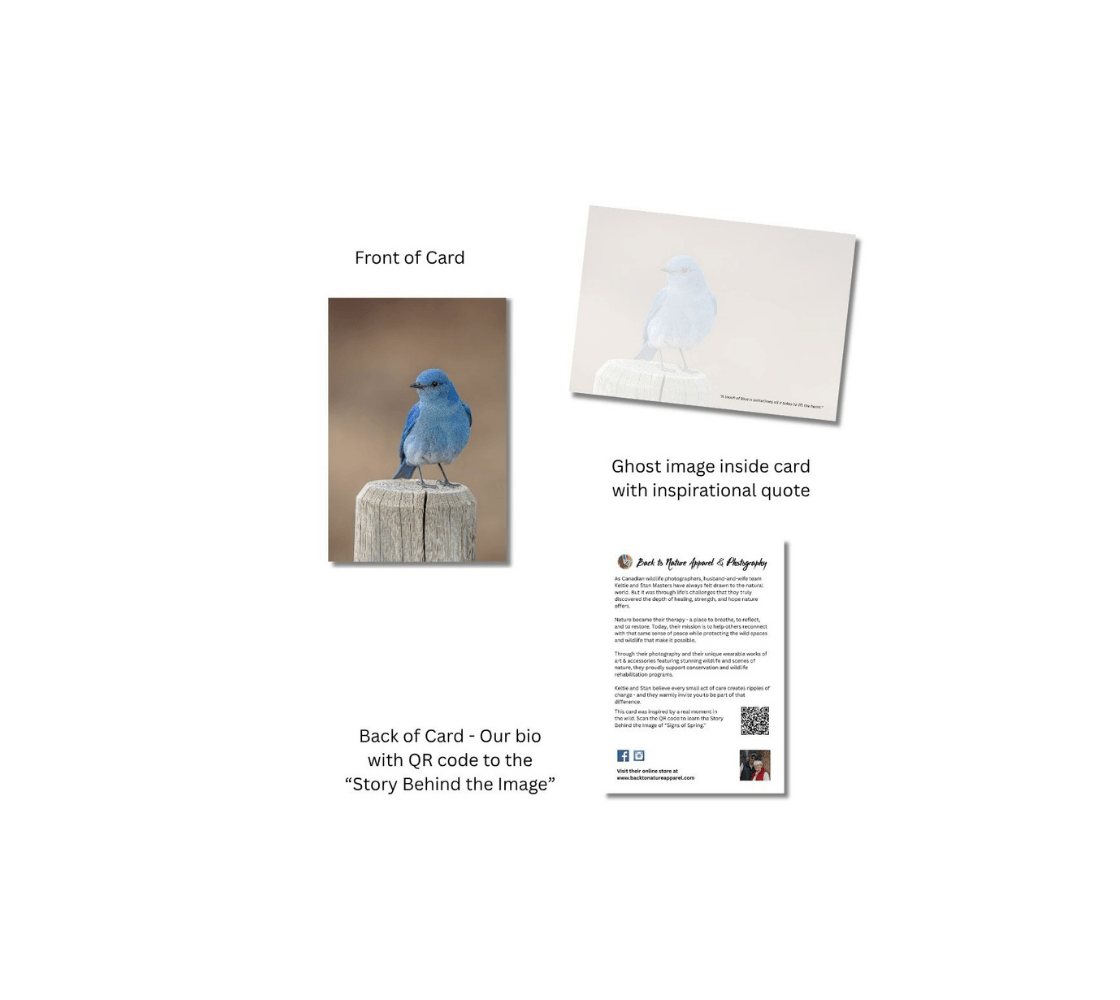 A male bluebird greeting card with a ghost image of a bluebird inside from our real wildlife photography.