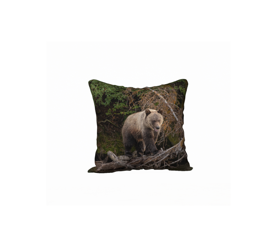 "Balancing Act" Grizzly Cub Cushion Cover