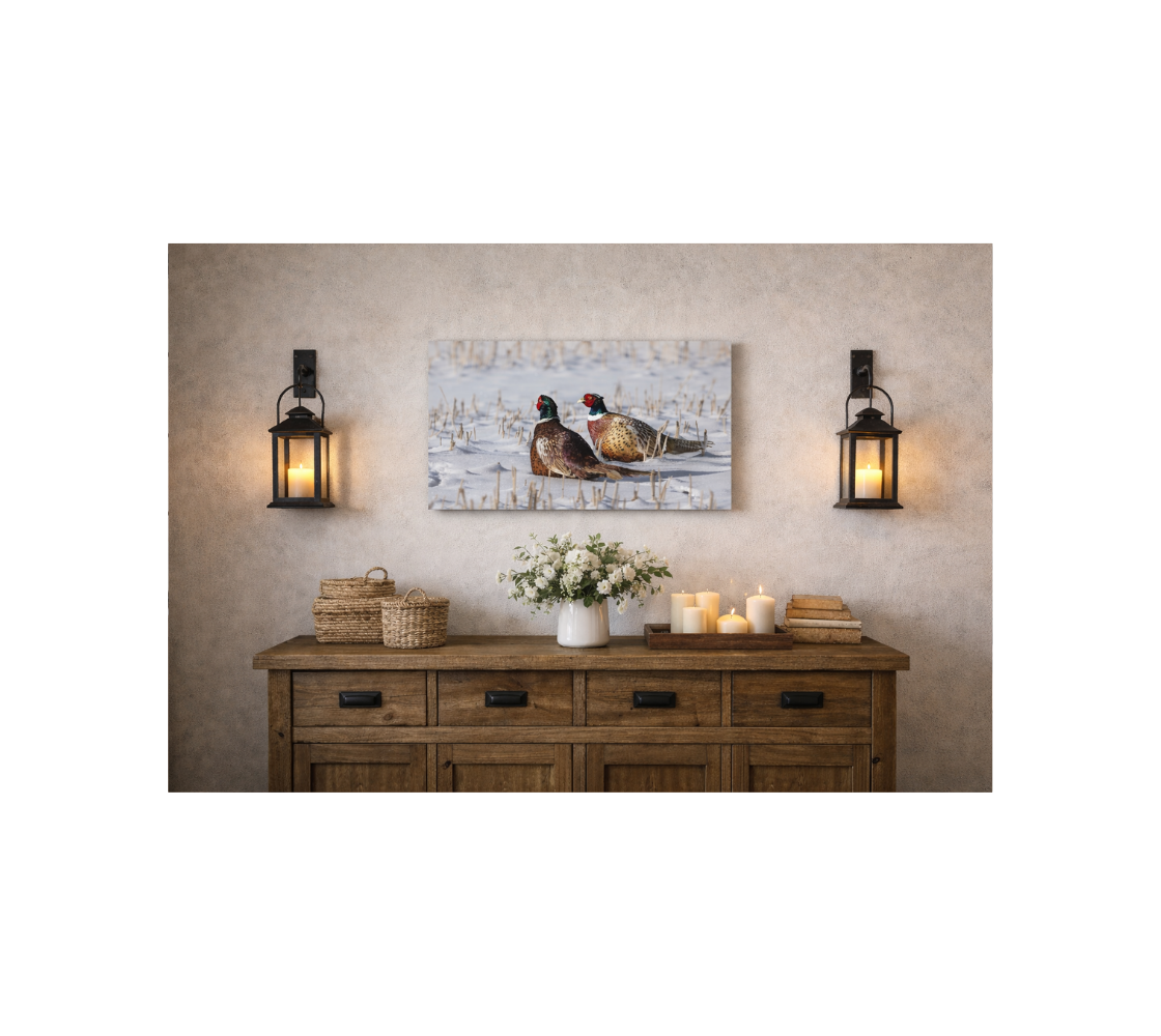 Sideboard table with a canvas print of our photograph featuring two male ringneck pheasants with a white background hanging on the wall.