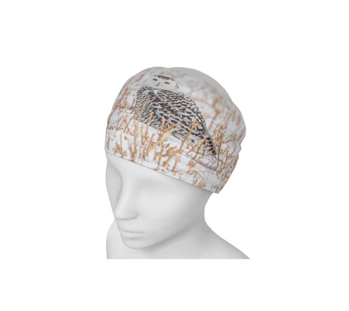 This is an image of a photo of a snowy owl head and neck buff worn as a headband on a mannequin. The photo print is of a snowy owl looking at you. It is on the ground in a white snow covered field surrounded by gold colored field stubble sticking up out of the ground. 