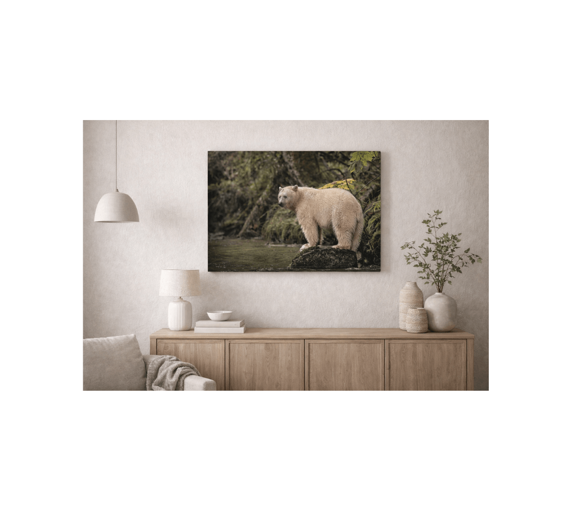 A living room with a canvas print of a spirit bear from our wildlife photography hanging on the wall above a wooden cabinet.