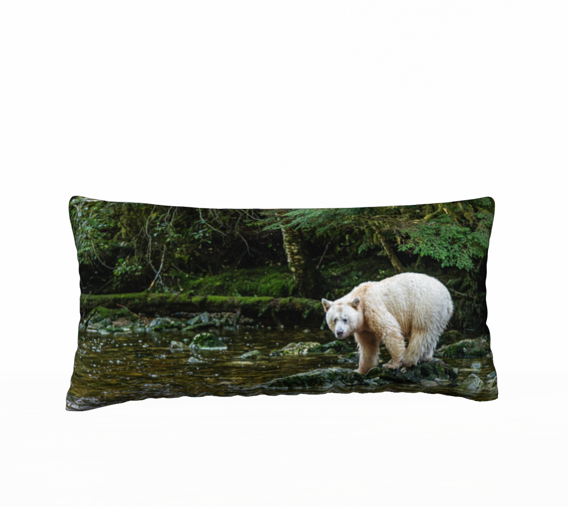 This 12 x 24 inch plush velveteen cushion cover features a photo of a white spirit bear standing on a green mossy rock watching for salmon. The background  is a mossy green ground cover with green trees and a little bit of golden green in the stream. 