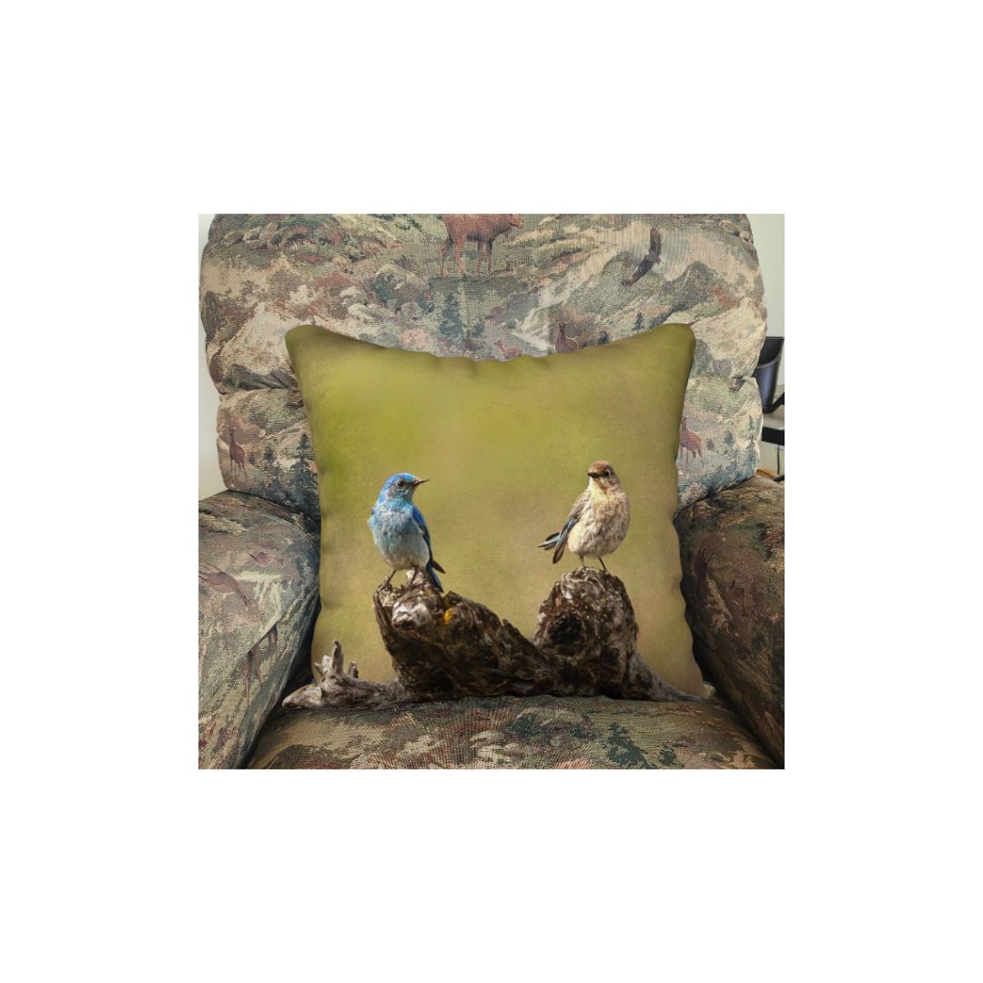 This is an image of 2 bluebirds on a 18" square cushion in a rocking chair. The male bluebird is a bright blue, while the female is mostly white with some blue, The background is a mottled green.