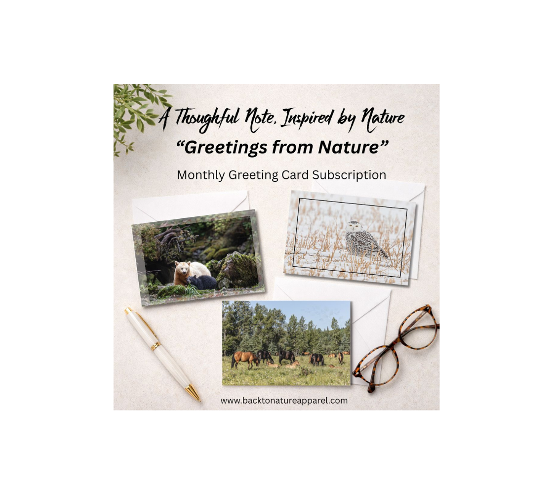 Greeting Cards Subscription - Greetings from Nature