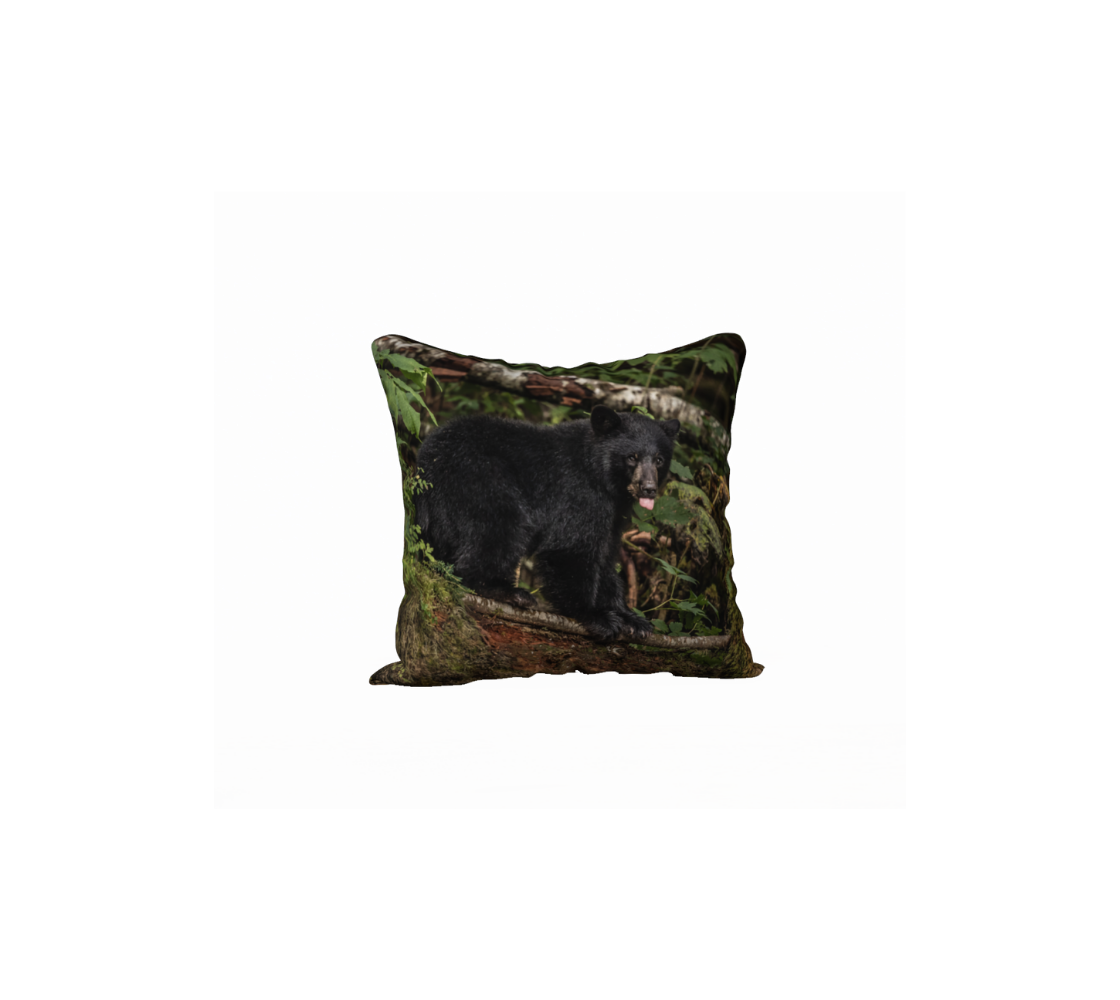 A black bear cub decorative throw pillow cover from our real wildlife photography.