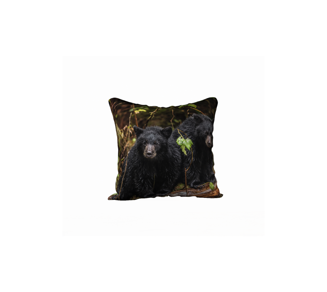 This 18 x 18 inch plush velveteen cushion cover features a photo of two black bear cubs on a log peering out at us. The cushion cover background is green leaves and brown twigs of the Great Bear Rainforest.