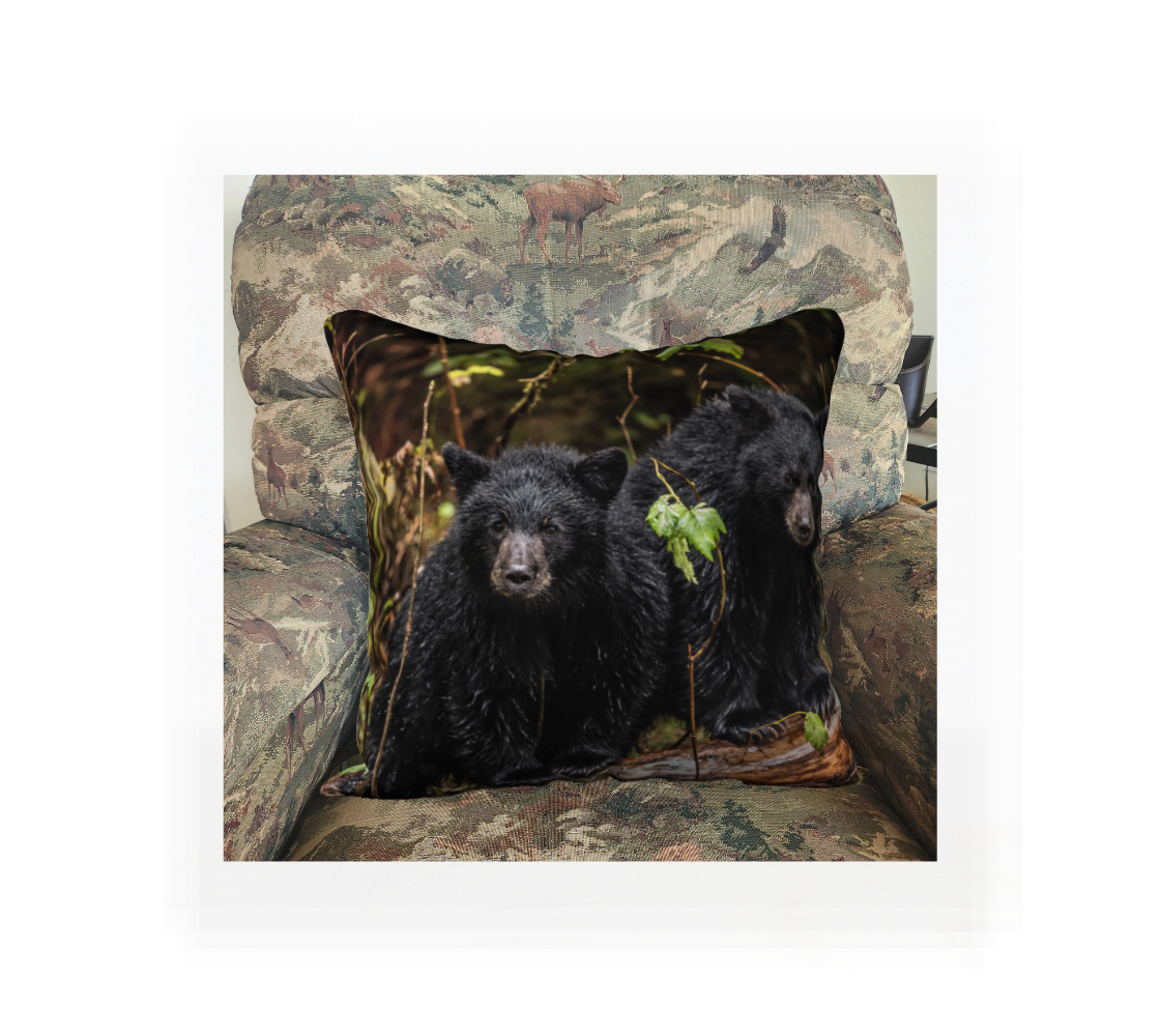 This 18 x 18 inch plush velveteen cushion cover features a photo of two black bear cubs on a log peering out at us. The cushion cover background is green leaves and brown twigs of the Great Bear Rainforest. This image is of a cushion cover on a pillow form in a chair.