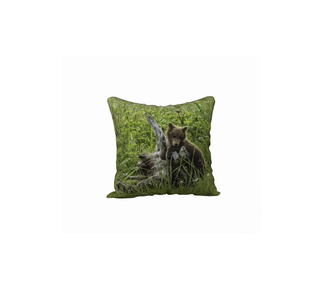 A brown bear cub decorative throw pillow cover from our real wildlife photography.