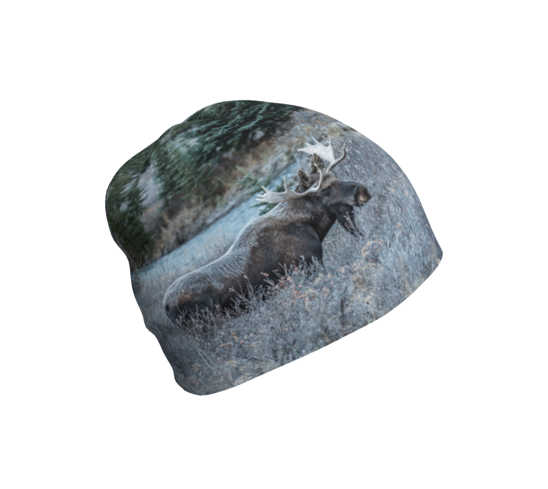 This is a photograph of a bull moose on a beanie. This image shows a big dark brown bull moose standing in the frosty grey willows surrounded by evergreen trees. He is covered with a blanket of white frost on his back, shoulders and head. 