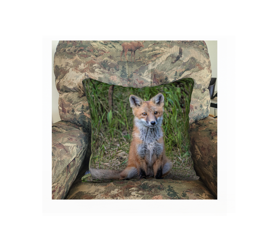 A Canadian-made soft plush velveteen cushion cover featuring a real North American wildlife image of a red fox kit. Solid black velveteen on the reverse side with a durable hidden zipper. Measures 18” x 18”.