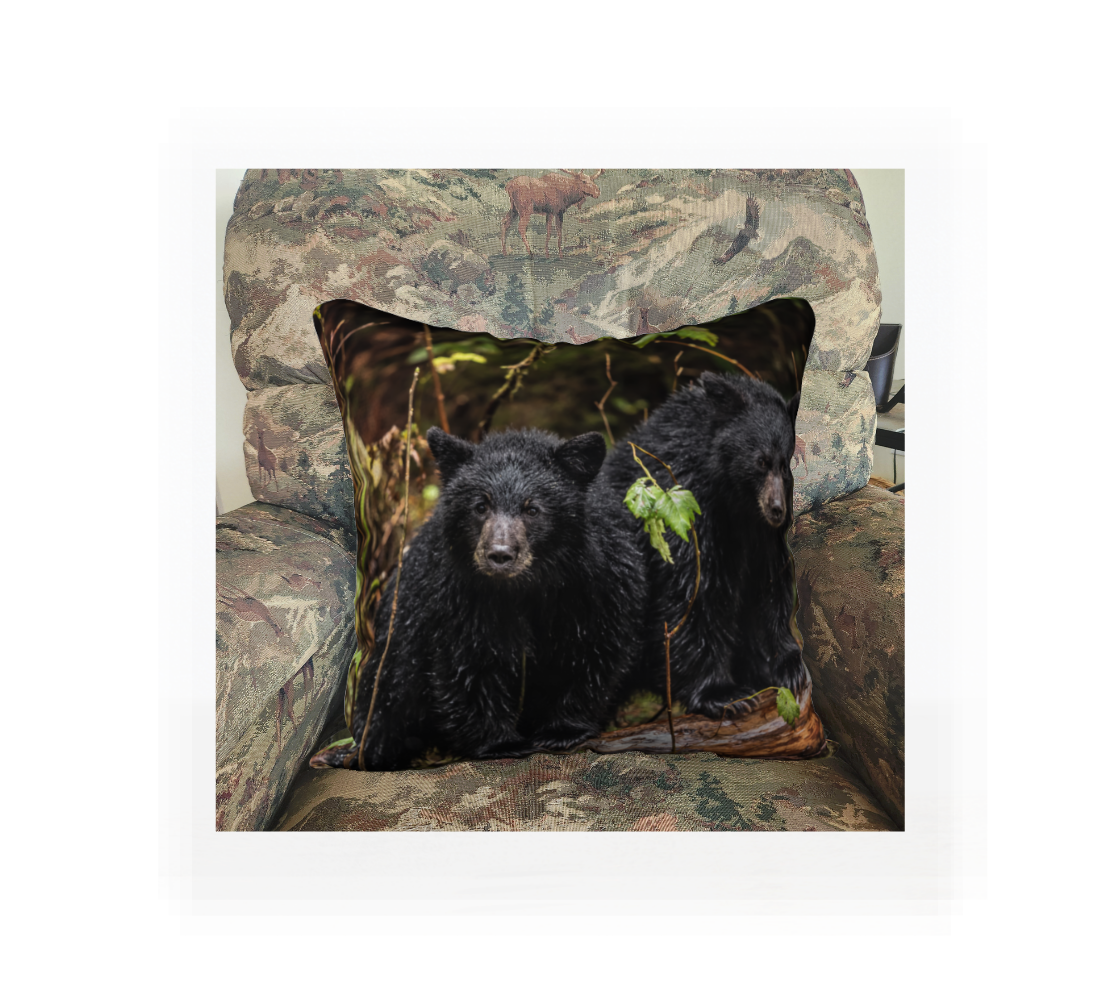 A Canadian-made soft plush velveteen cushion cover featuring real North American wildlife images of black bear cubs. Solid black velveteen on the reverse side with a durable hidden zipper. Measures 18” x 18”.