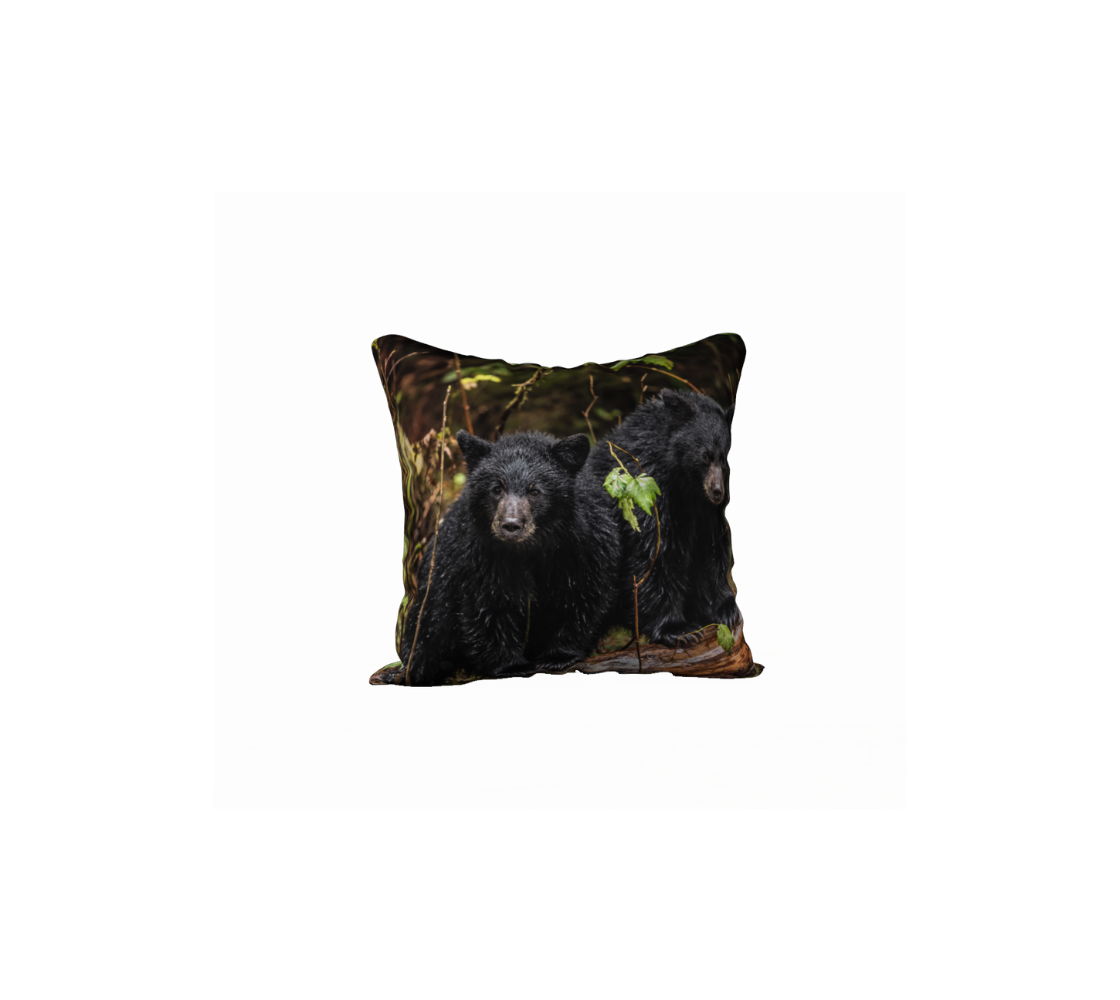 "Double Trouble" Black Bear Cushion Cover