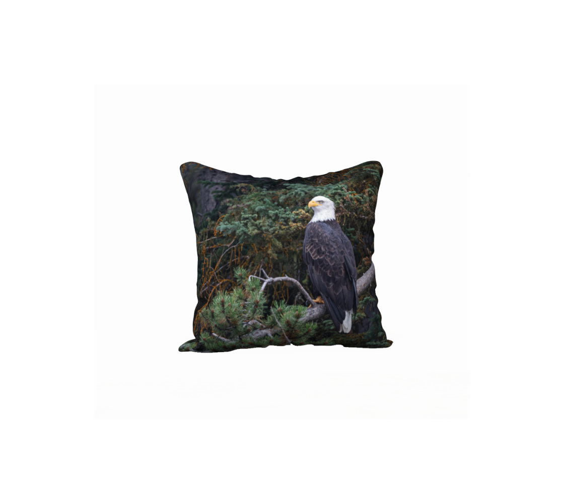A Canadian-made soft plush velveteen cushion cover featuring a real North American wildlife image of a bald eagle. Solid black velveteen on the reverse side with a durable hidden zipper. Measures 18” x 18”.