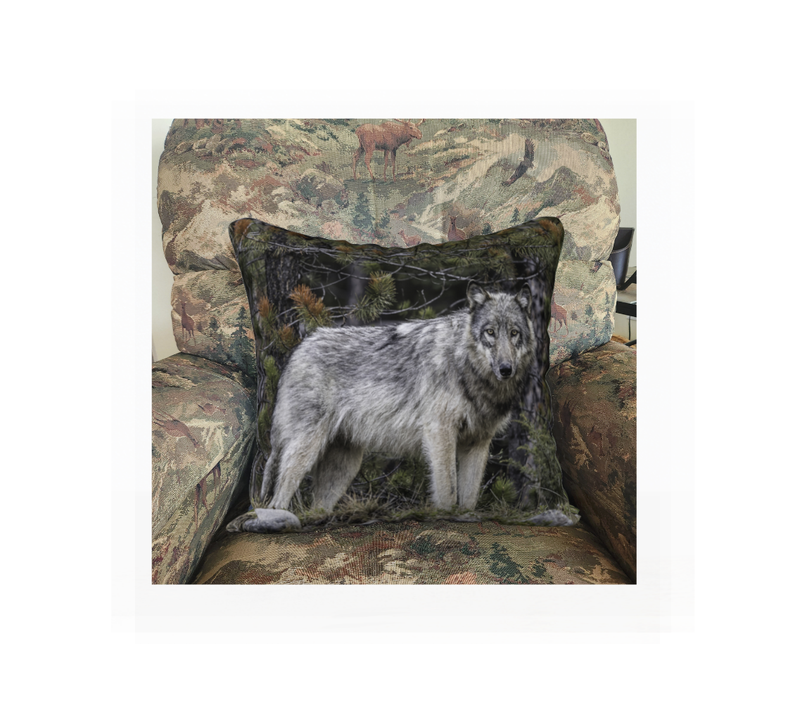 A Canadian-made soft plush velveteen cushion cover featuring a real North American wildlife image of a grey wolf. Solid black velveteen on the reverse side with a durable hidden zipper. Measures 18” x 18”.