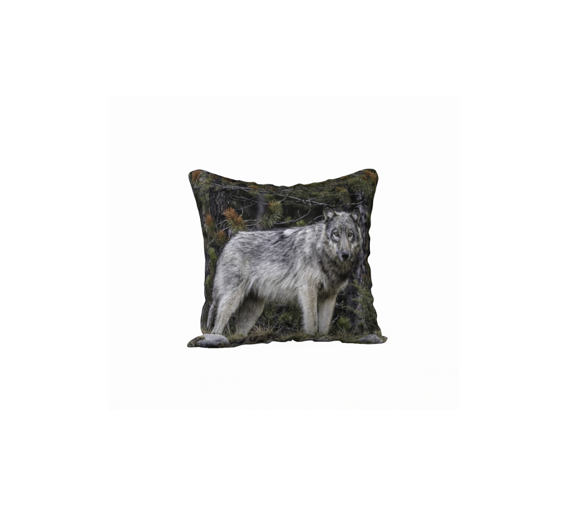 "First Encounter" Grey Wolf Cushion Cover
