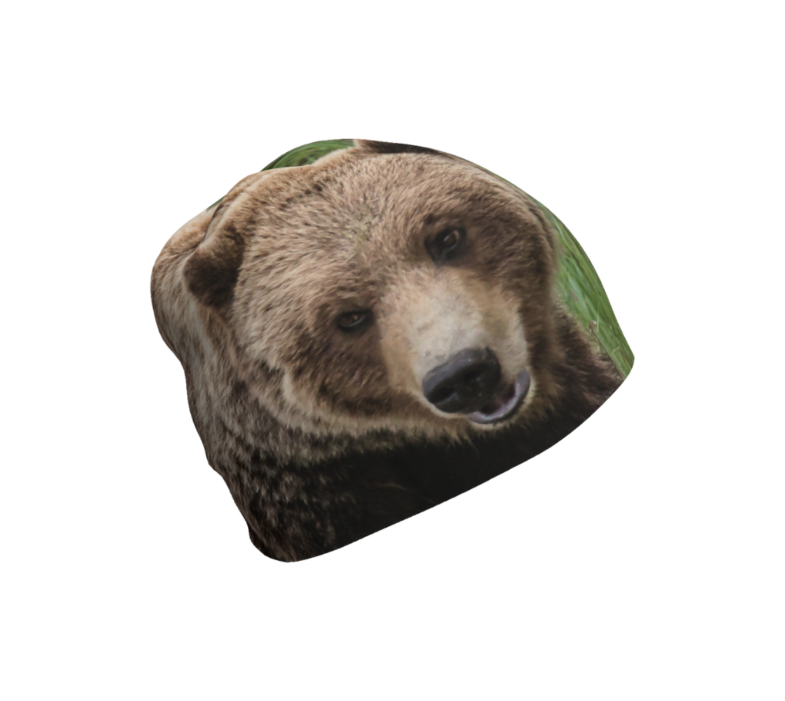 This is a photograph of a grizzly bear on a beanie. The image is a brown grizzly bear head, looking slightly away from you, with green grass in the background.