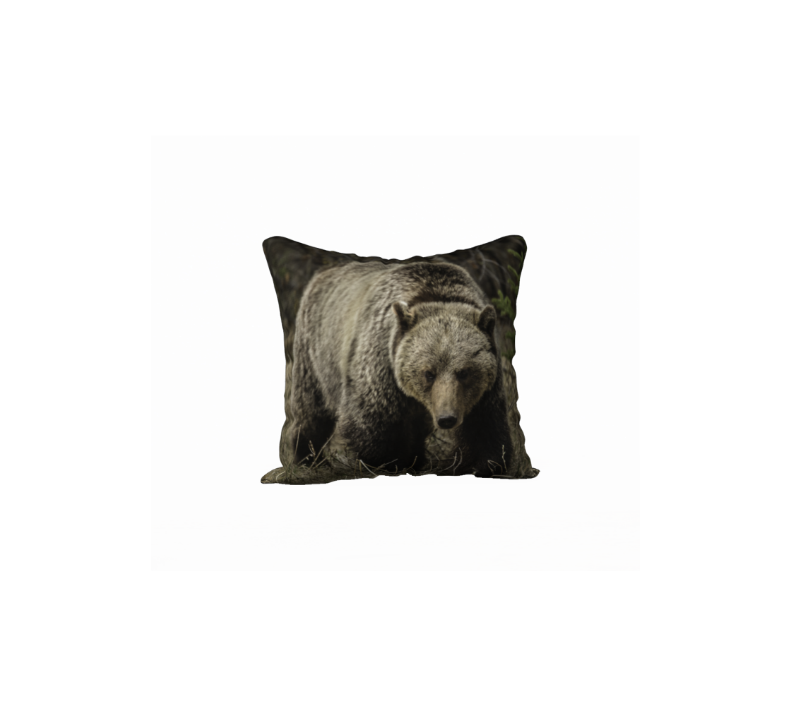 This 18 x 18 inch plush velveteen cushion cover features a photo of a dark brown grizzly bear standing in the brown grass looking at you. The background is green and brown tones of the forest behind him.