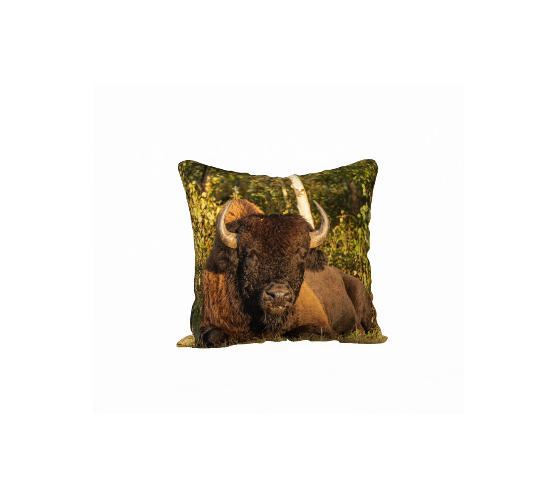 A Canadian-made soft plush velveteen cushion cover featuring a real North American wildlife image of a wood bison. Solid black velveteen on the reverse side with a durable hidden zipper. Measures 18” x 18”.