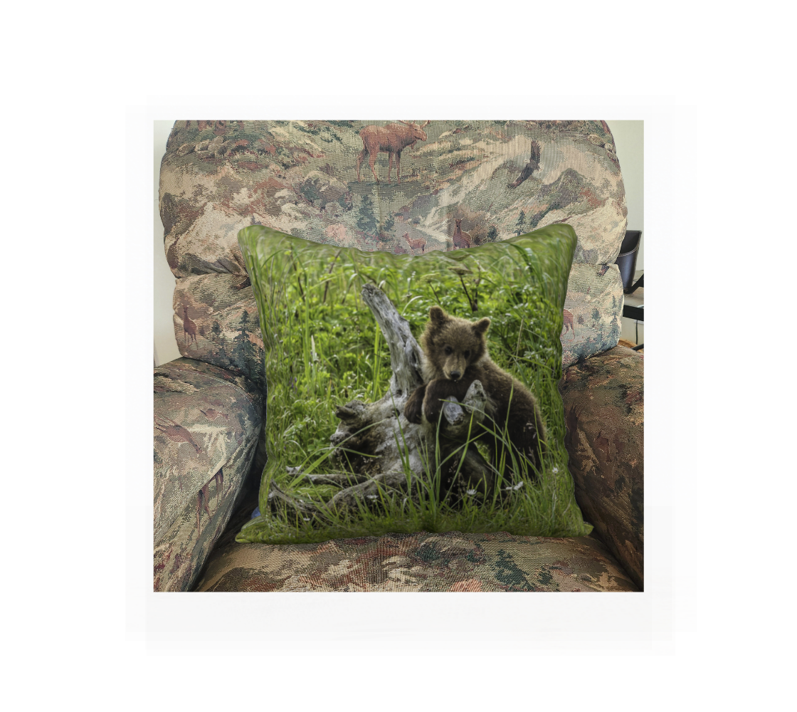 This 18 x 18 inch plush velveteen cushion cover featuring a Alaskan brown Bear cub leaning on root and the background is green. This image is of a cushion cover on a pillow form in a chair.