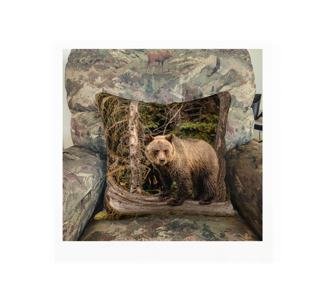 A Canadian-made soft plush velveteen cushion cover featuring a real North American wildlife image of a grizzly bear cub. Solid black velveteen on the reverse side with a durable hidden zipper. Measures 18” x 18”.