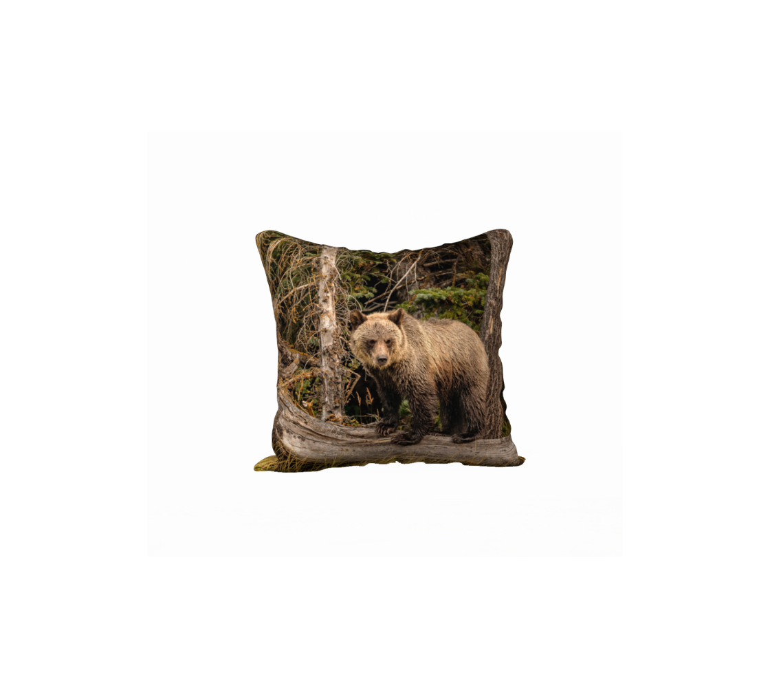 "Land Rover" Grizzly Cub Cushion Cover