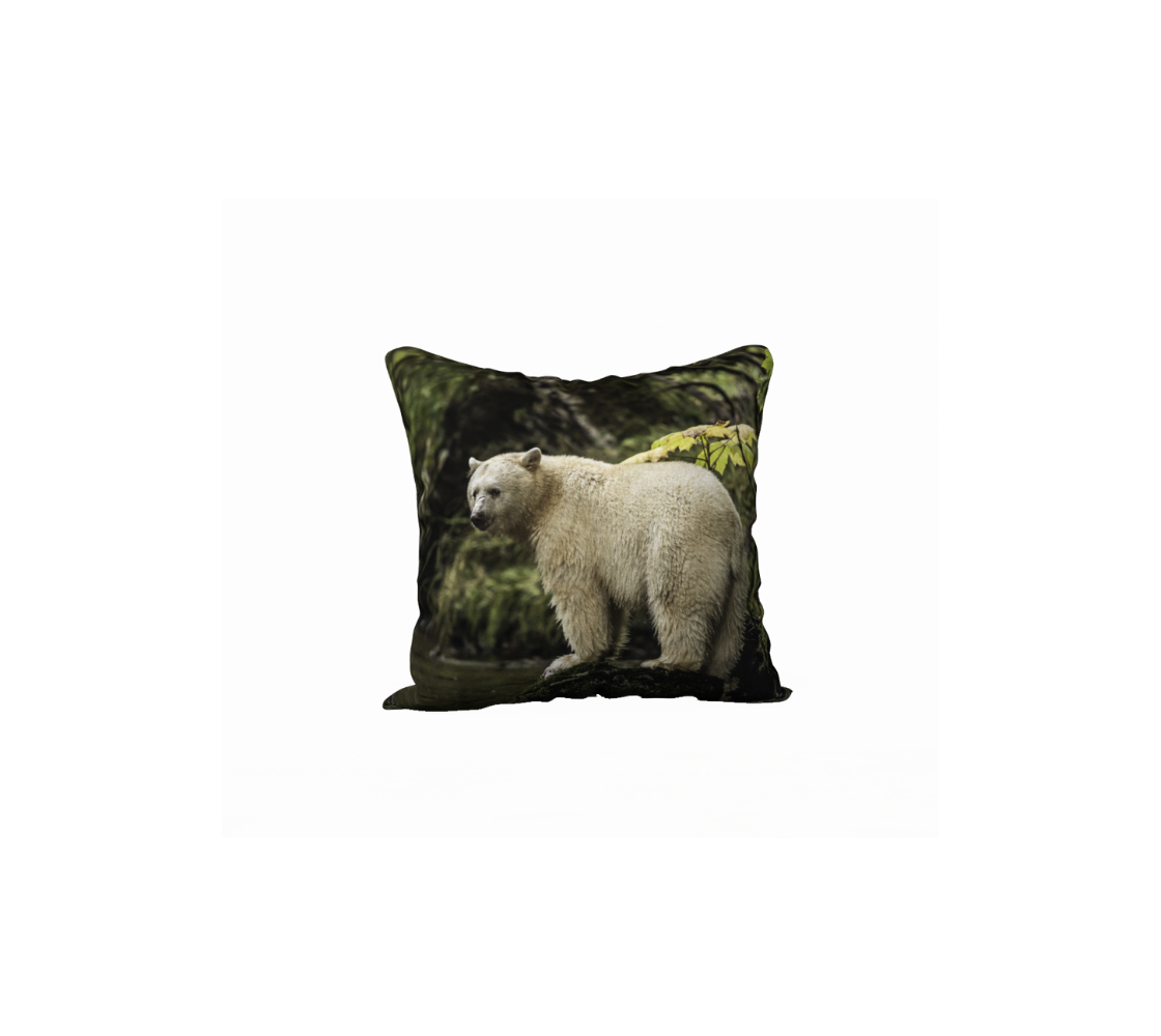 This 18 x 18 inch plush velveteen cushion cover features a photo of a white spirit bear on a mossy green rock. The background is green tones of the lush foliage.