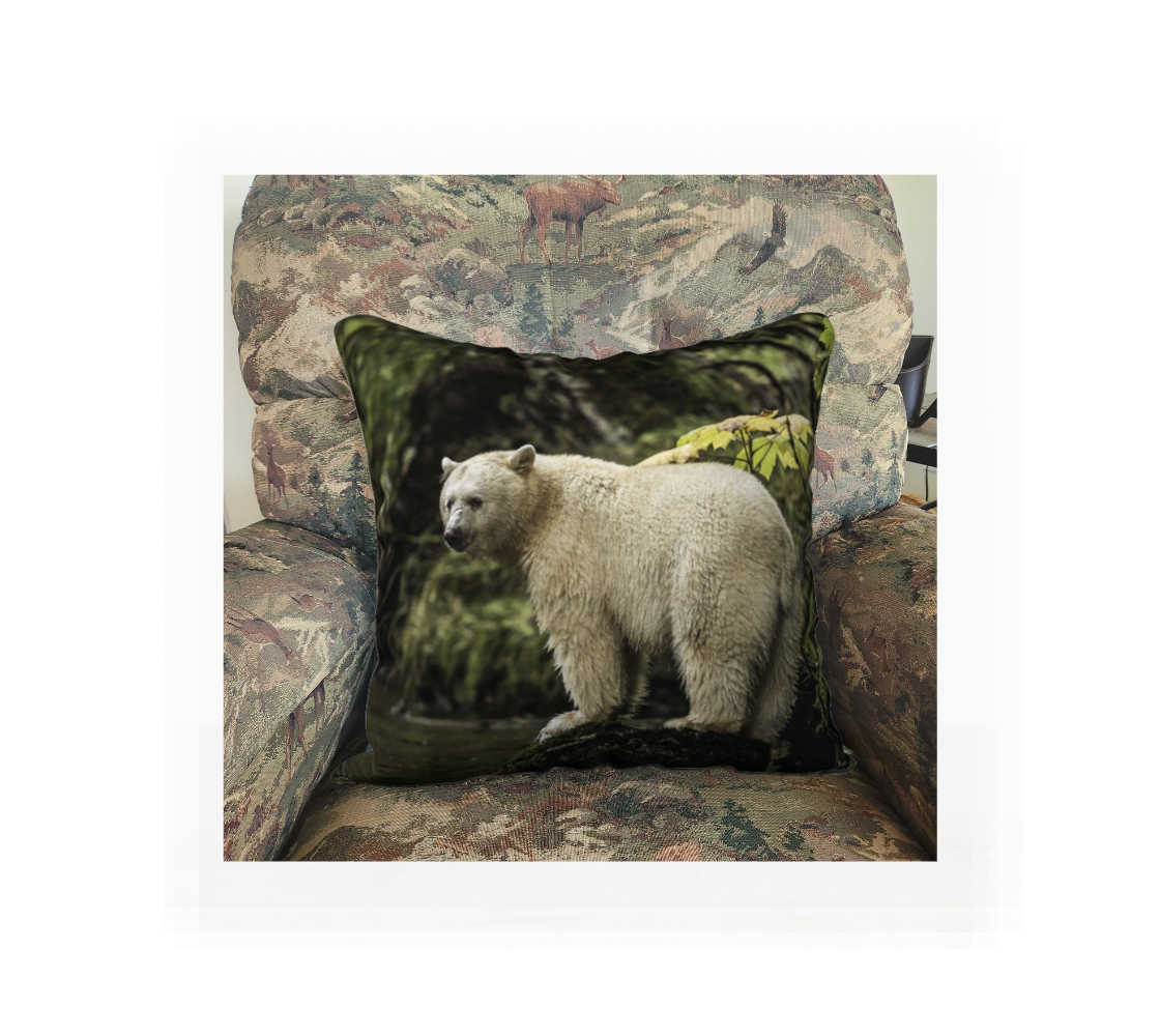 This 18 x 18 inch plush velveteen cushion cover features a photo of a white spirit bear on a mossy green rock. The background is green tones of the lush foliage. This image is of the cushion cover on a pillow form in a chair.