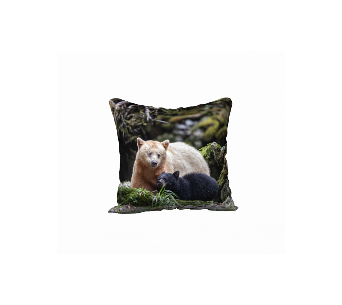 This 18 x 18 inch plush velveteen cushion cover features a photo of a white momma spirit bear with her little black cub beside her. The cushion cover background is green moss and grass wih grey rocks and branches.