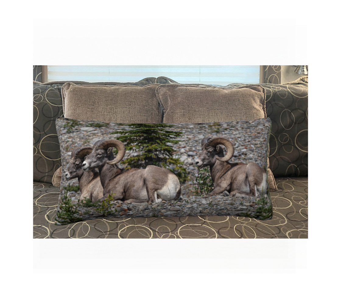 A Canadian-made soft plush velveteen cushion cover featuring real North American wildlife images of rocky mountain big horn sheep. Solid black velveteen on the reverse side with a durable hidden zipper. Measures 12” x 24”.