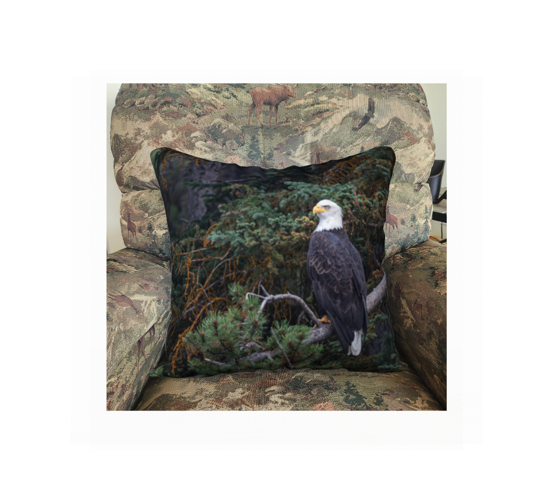A Canadian-made soft plush velveteen cushion cover featuring a real North American wildlife image of a bald eagle. Solid black velveteen on the reverse side with a durable hidden zipper. Measures 18” x 18”.