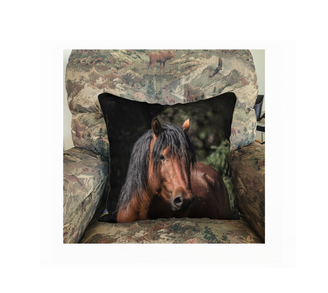A Canadian-made soft plush velveteen cushion cover featuring a real North American wildlife image of a Alberta wild Horse. Solid black velveteen on the reverse side with a durable hidden zipper. Measures 18” x 18”.