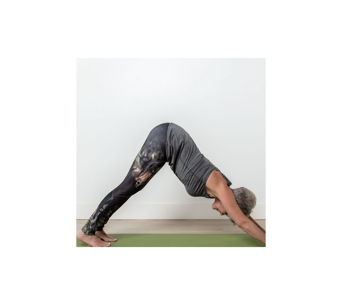 A side profile of a lady doing the downward dog yoga pose in yoga leggings with a wild stallion image on each leg, with a 4.5 inch high waist band. The background is dark green/black at the top with green grass at the bottom, with an image of a chestnut brown wild horse with a black mane and tail.