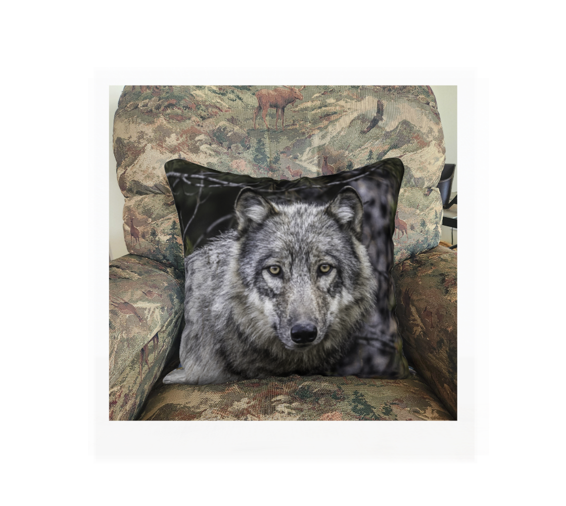 A Canadian-made soft plush velveteen cushion cover featuring a real North American wildlife image of a grey wolf. Solid black velveteen on the reverse side with a durable hidden zipper. Measures 18” x 18”.